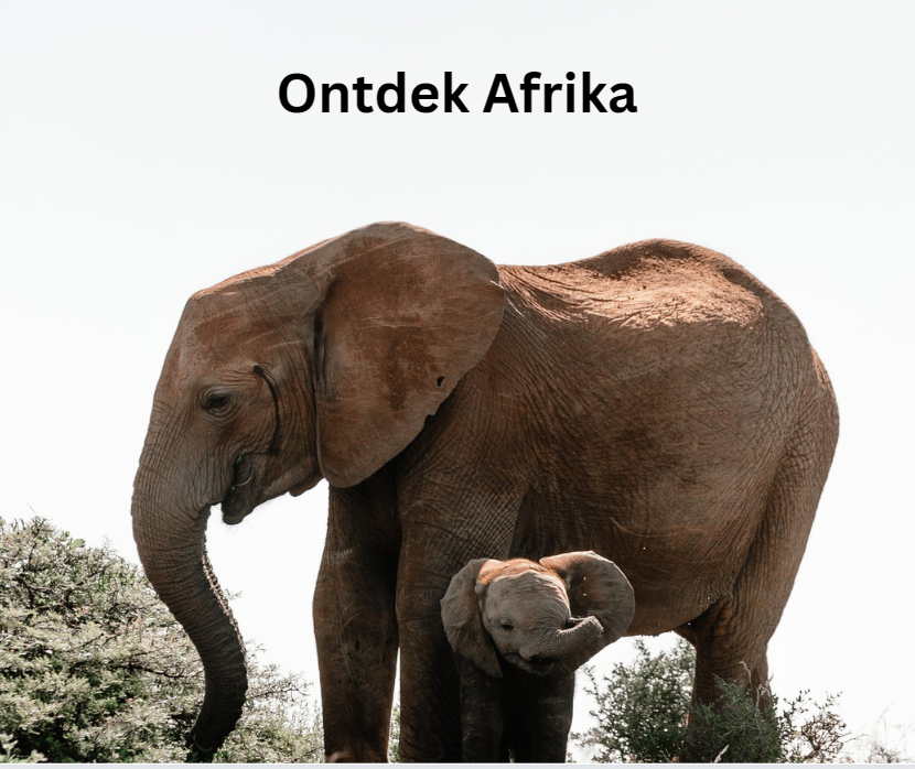 Afrika 13 Afrika