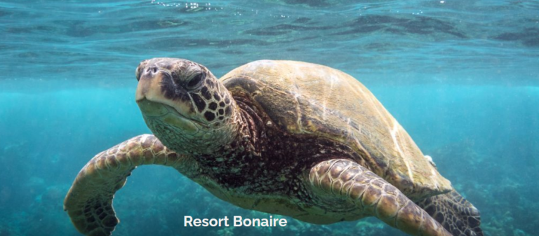 Resort Bonaire 2