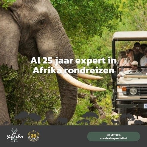 Afrikaplus